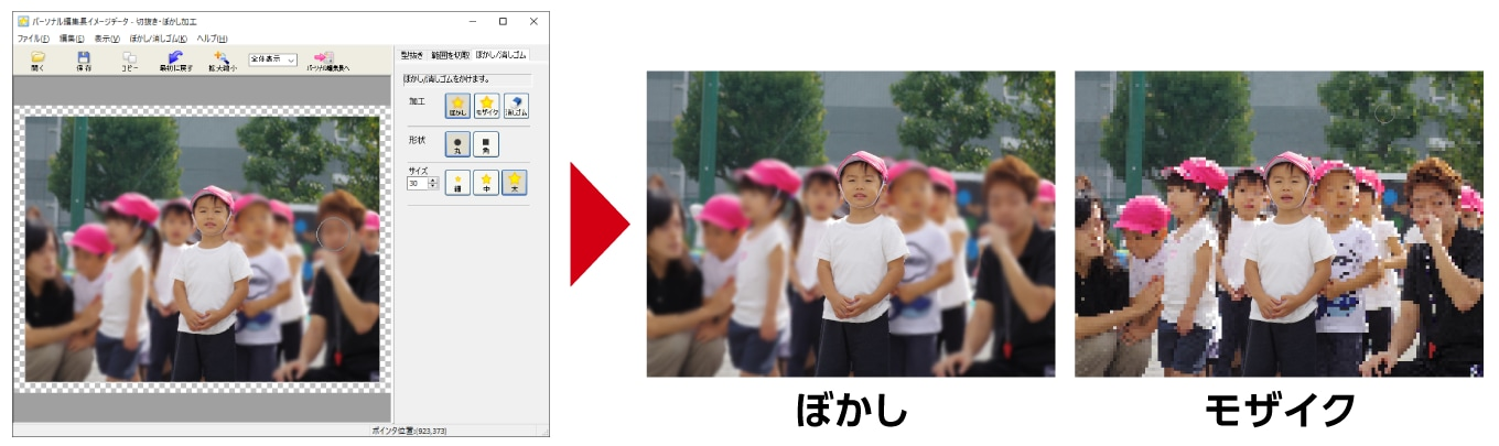 写真のぼかし、モザイク のイメージ画像