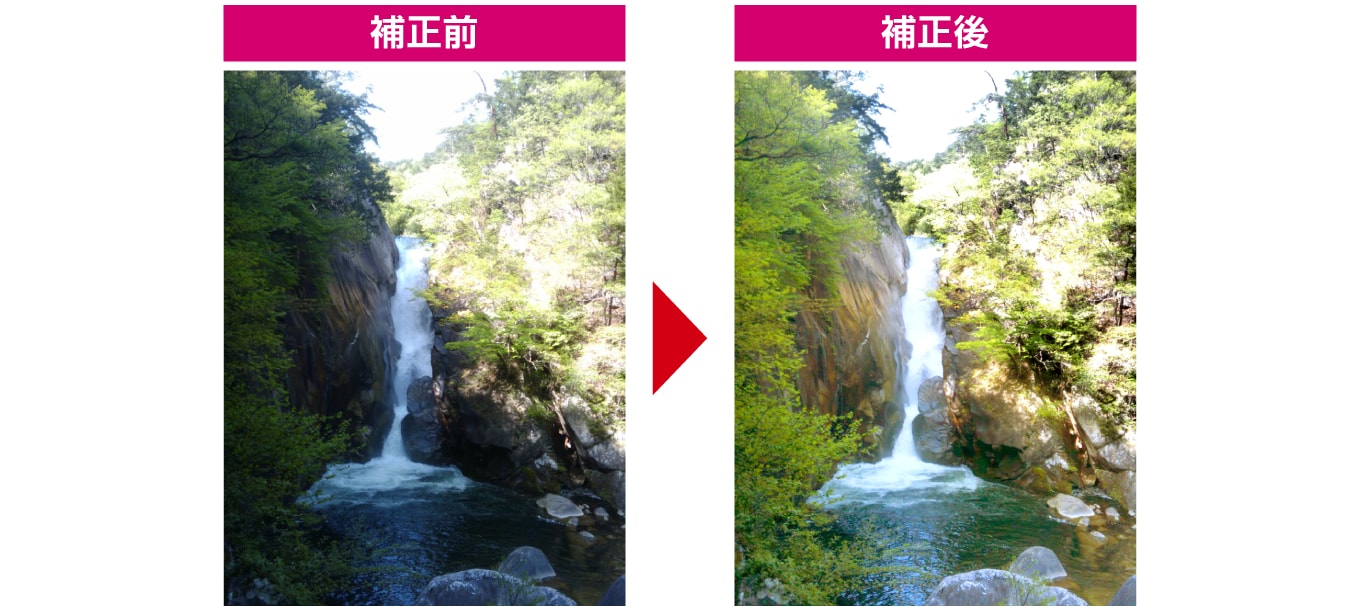 ワンクリックで補正機能の比較写真