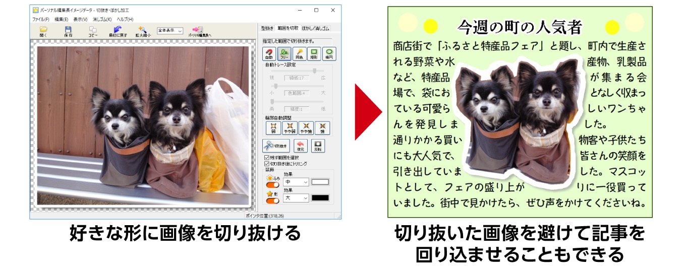 画像切り抜きのイメージ画像