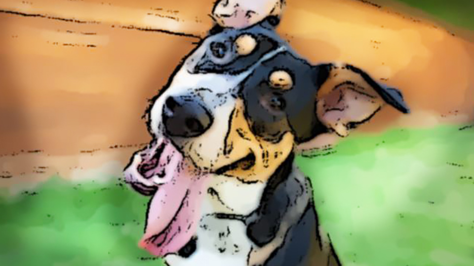 ペイントビデオフィルター