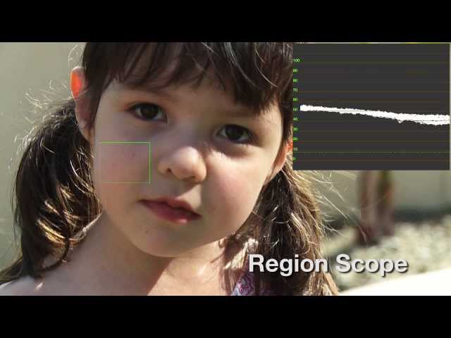 NewBlue Video Essentials VII