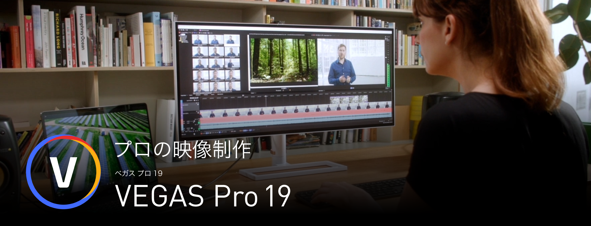 VEGAS Proについて