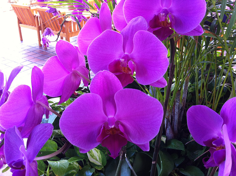 104種類の、特殊効果フィルタ