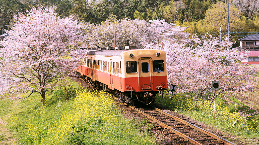 2. ミニチュア風写真