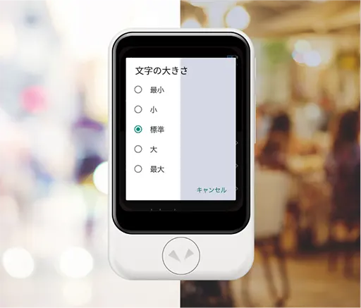 明るさや文字サイズも調整できる