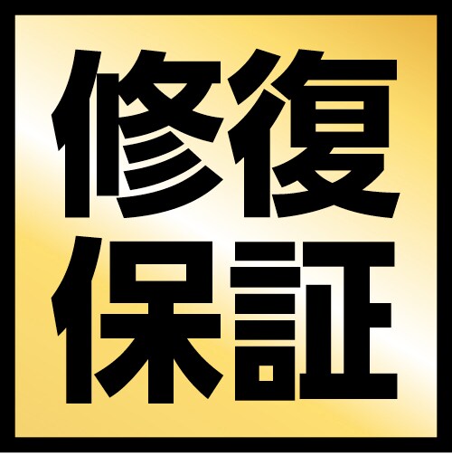 動作はするが修復できない場合