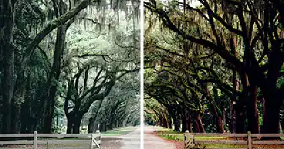 分割した画面プレビュー