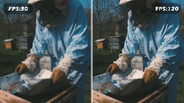 古い映像やアニメの補間