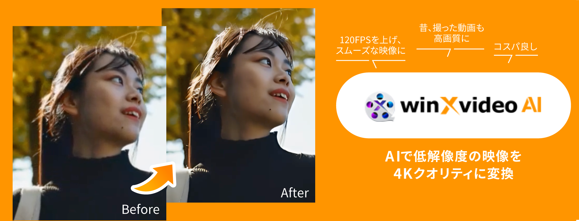 これ1本で、AIが動画、画像を自動で高画質化｜Winxvideo AI
