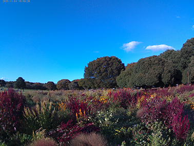 思い出を、その瞬間で切り取る