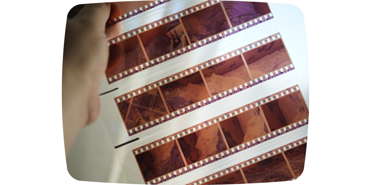 現像サービスも縮小傾向