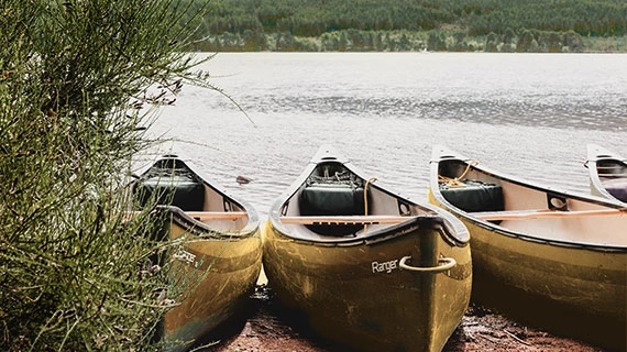 カラーグレーディング