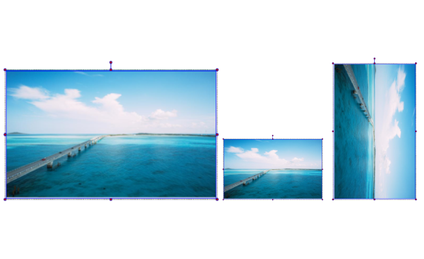 画像の移動、拡大・縮小