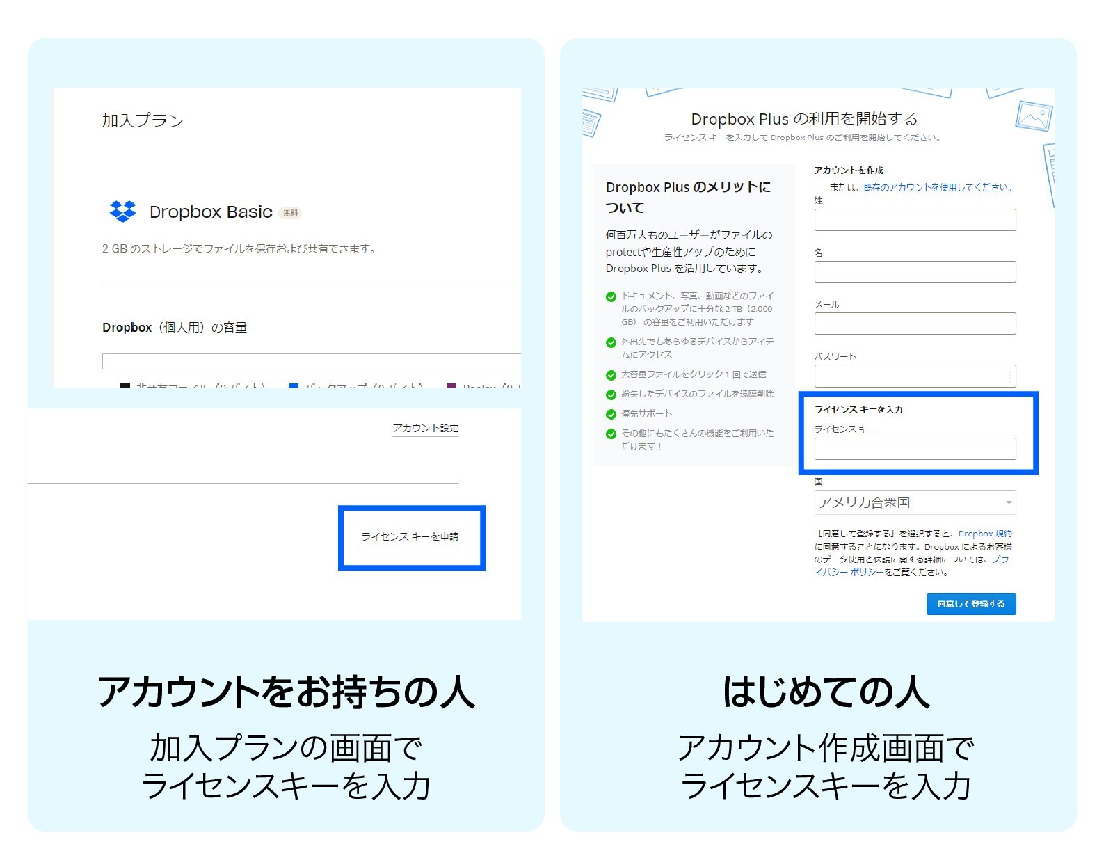 入力画面の画像