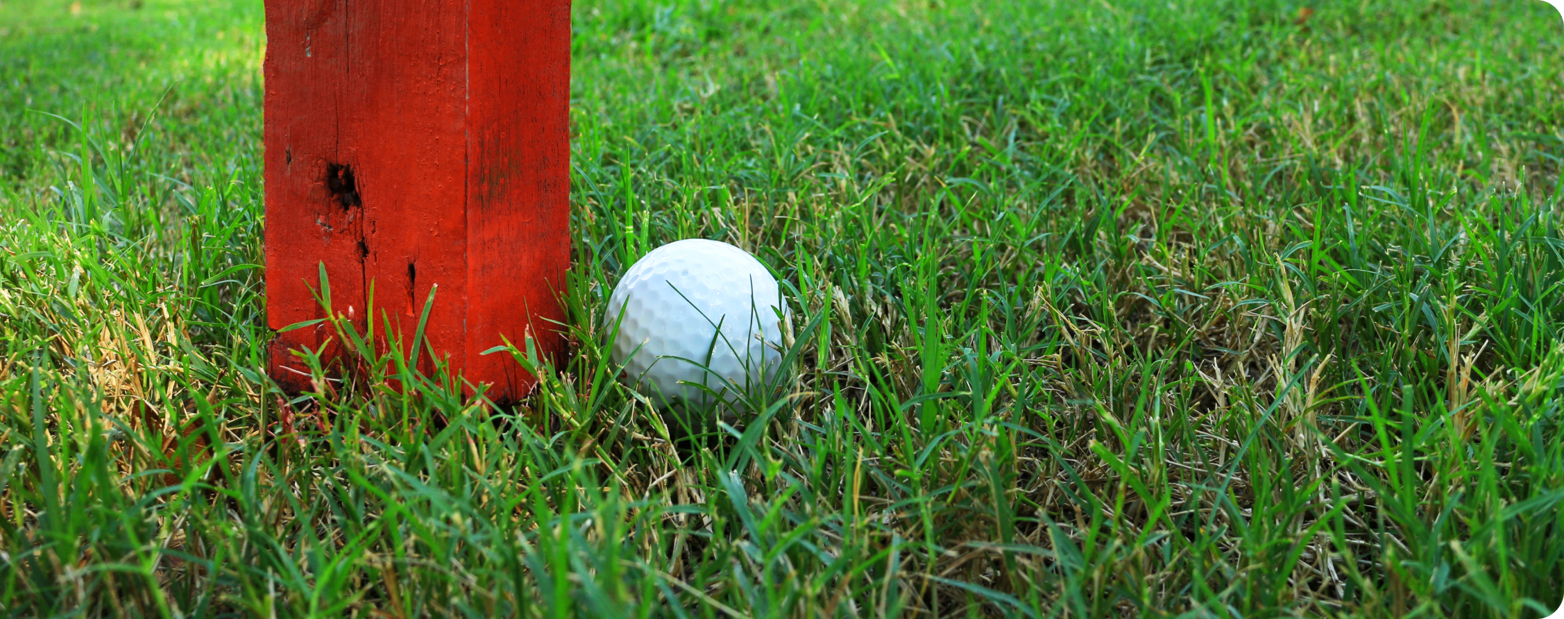 ルールが分からない