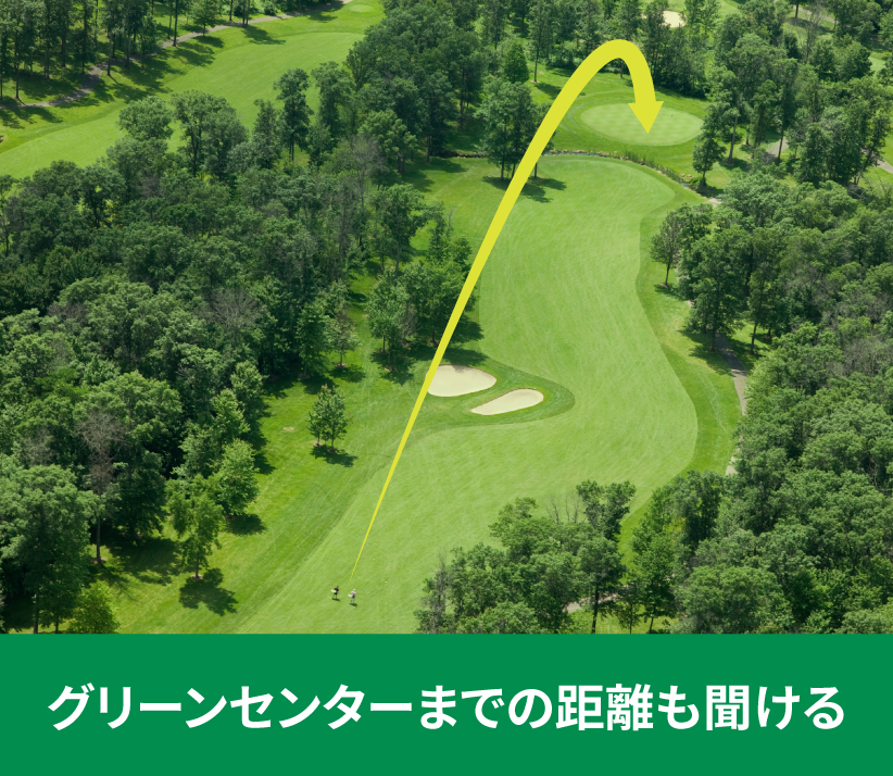 バーディ・トークの画像