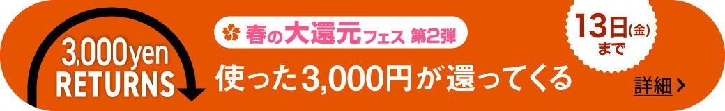 3000円リターンズ